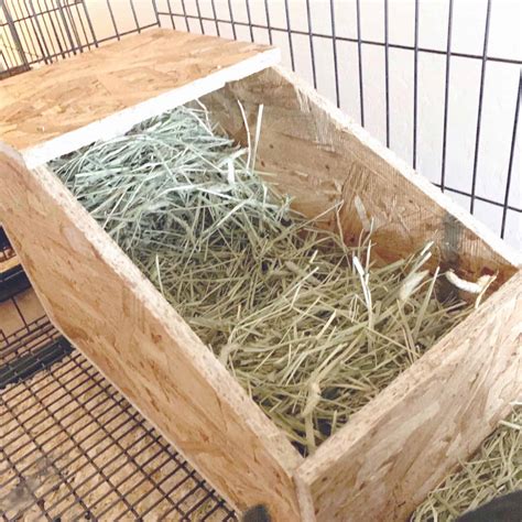 pattern for rabbit baby box out of sheet metal|bunny nest box plans.